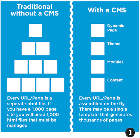 Figure 1, CMS Layout