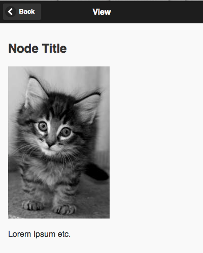 A sample View page showing a node title, body, and image.