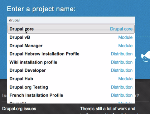  Enter the name of the Drupal project you wish to test.