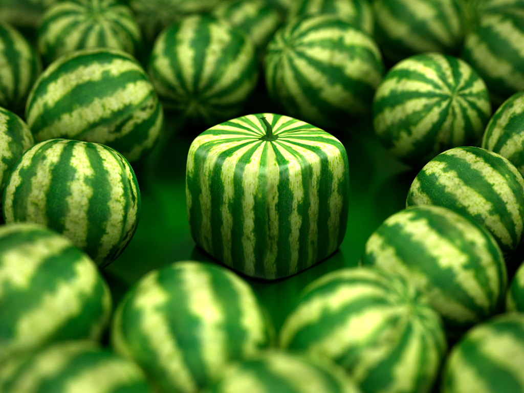 Square Watermelong